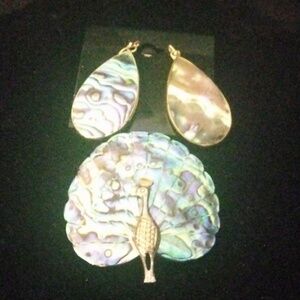Vintage Sterling Silver, Abalone Earrings And Peacock Broch